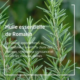 Weleda Romarin Huile Capillaire Nourrissante Bio 50ml