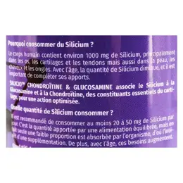 Phyto Research Silicio Silicium Chondroitine et Glucosamine 500ml