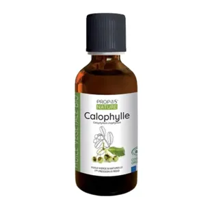 Propos' Nature Aroma-Phytotherapy Organic Calophyllum Vegetable Oil 50ml