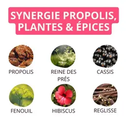 Propolia Bio Infusion Confort respiratoire Saveur fraîche & mentholée 20 sachets