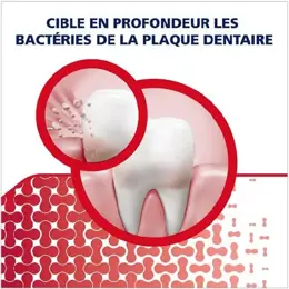 Parodontax Dentifrice Gencives + Sensibilité & Haleine Fraîcheur Intense 75ml