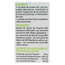 Arkopharma Arkofluides Détox Bio Sureau Noir Pissenlit Radis Noir 20 ampoules