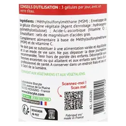 Biocyte MSM 1800mg 90 gélules