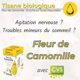 Nutrigée Infusion Bio Fleur de Camomille 20 sachets