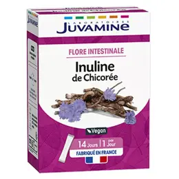 Juvamine Inuline de Chicorée 14 sticks