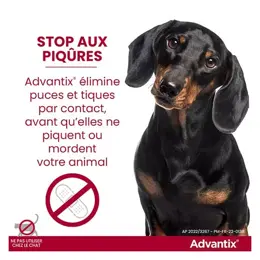 Advantix Chien Solution Antiparasitaire Race Moyenne 10 à 25kg 4 pipettes