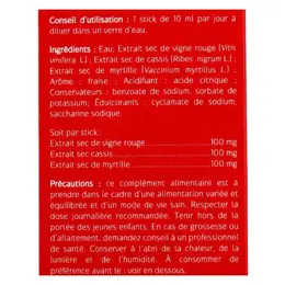 Naturactive Circulation Goût Fraise 20 sticks fluides Vegan