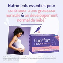 Gynéfam Supra Grossesse Boîte de 3 mois 90 capsules