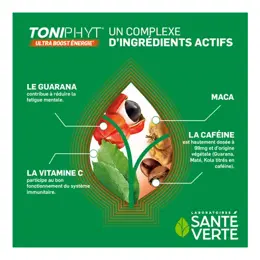 Santé Verte Toni'Phyt 30 comprimés