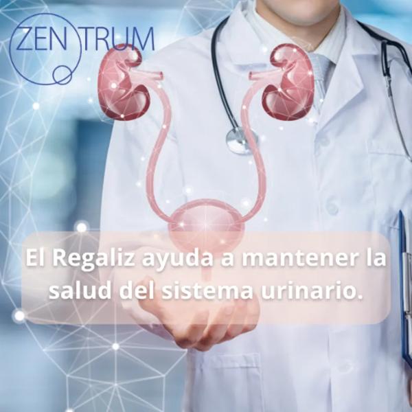 Ynsadiet Zentrum CistProtect D-Mannosio 30 buste