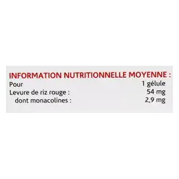 Naturland Levure de Riz Rouge Bio 60 gélules