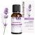 Field of Provence Lavender and Rosemary Oil BIO Eco Pranarom 30ml