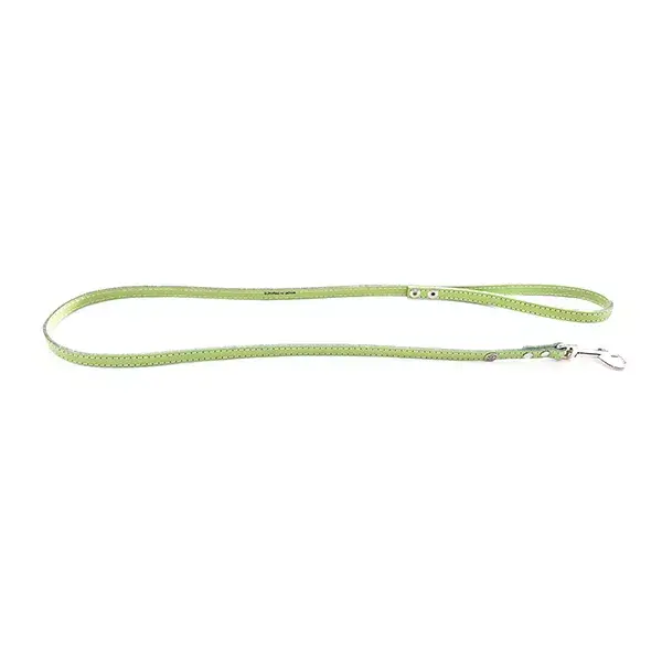 Martin Sellier Green Leather Dog Lead 16mm x 1m