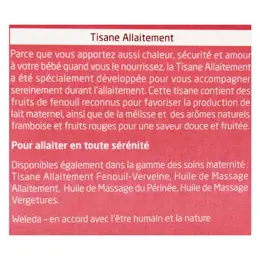 Weleda Maternité Tisane Allaitement Fruits Rouges Bio 20 sachets