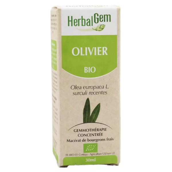 Herbalgem Macérat Concentré Olivier Bio 30ml