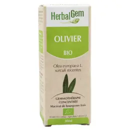 Herbalgem Macérat Concentré Olivier Bio 30ml