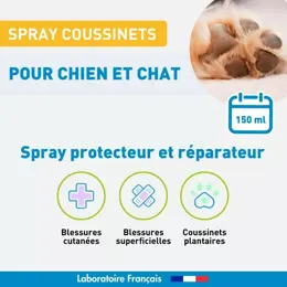 Vetoform Spray Protecteur et Réparateur Coussinet 150ml