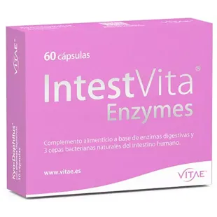 Vitae IntestVita Enzyme 60 Kapseln