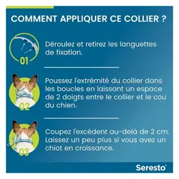 Seresto Grand Chien Collier Anti-Puces et Anti-Tiques +8kg 2 unités