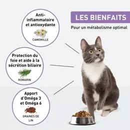 VetoNUT Chat Spécial Digestion Hypoallergénique 1kg