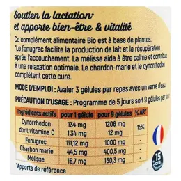 Néobulle Allaitement Coup de Pouce Bio 45 gélules