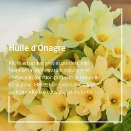 Weleda Onagre Huile Revitalisante Bio 100ml