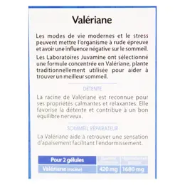 Juvamine Valériane 50 gélules