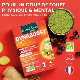 Santarome Bio Dynaboost Bio 14 sachets solubles