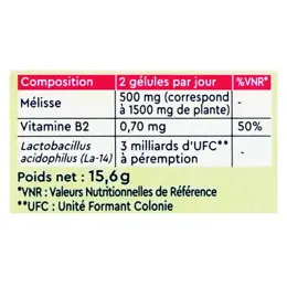 Euphytose Stress Digestion Stress et Confort Intestinal 2x14 comprimés