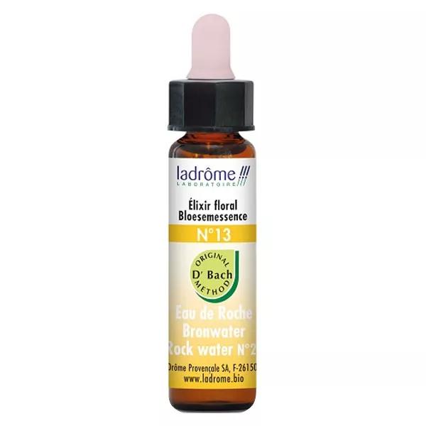Centaurea Ladrome 5 ml 10
