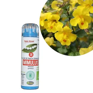 Fiore di Eumadis elisir di Bach Mimulus 6.3 g n. 20