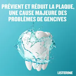 Listerine Bain de Bouche Listerine Fraicheur Intense - 500ml