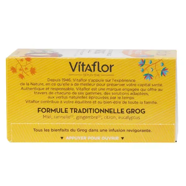 Vitaflor Bio Grog Tea Infusion Sachets x 18 