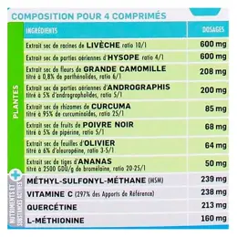 Santé Verte Polanine 30 comprimés