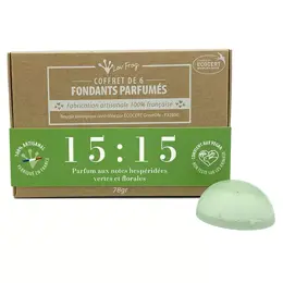 Lov'FROG Coffret Fondant Parfumé Parfum d'Ambiance 15:15 Hespéridé Vert Floral Bio 6 unités