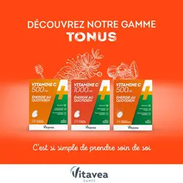 Vitavea Vitamine C 1000 Mg Energie au Quotidien Format Eco 60 comprimés