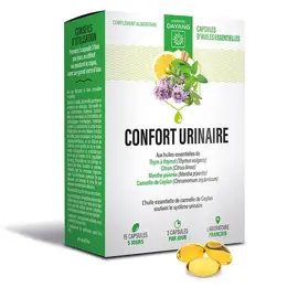 Dayang Complément Alimentaire Confort Urinaire Huiles Essentielles Bio 15 capsules