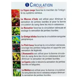 Nutrigée Boisson Flux'Activ Circulation 300ml