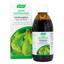 A.Vogel Sirop Santasapina Salud Respoiratoria 200ml