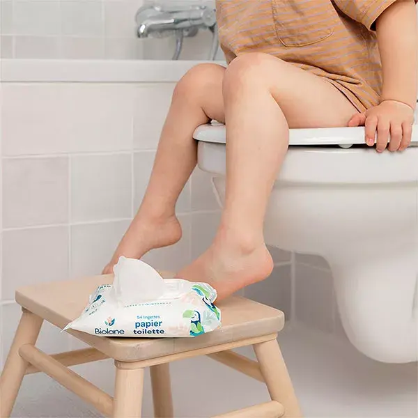 Biolane wipes paper toilet x 54