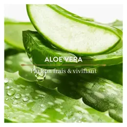 Le Petit Olivier Déodorant Fraîcheur - Aloe Vera - 75 ml