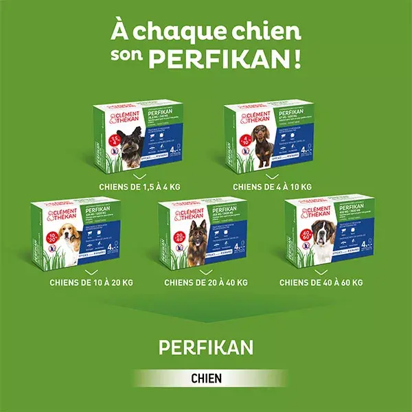 Clement Thekan Perfikan Anti-Puces Anti-Tiques Chien 20-40kg 4 pipettes