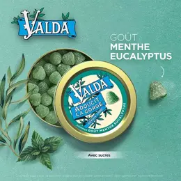 Valda Adoucit la gorge Gommes Goût Menthe Eucalyptus 50g