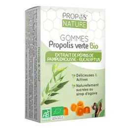 Propos' Nature Apithérapie Gomme de Propolis Pépins de Pamplemousse Eucalyptus Bio 45g