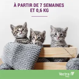 Vectra® Felis solution spot-on pour chats 3 pipettes