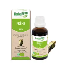 Herbalgem Macérat Concentré Frêne Bio 30ml