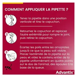 Advantix Chien Solution Antiparasitaire Grande Race 25 à 40kg 6 pipettes