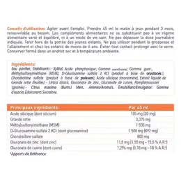 Dexsil Articulations Forte 1L