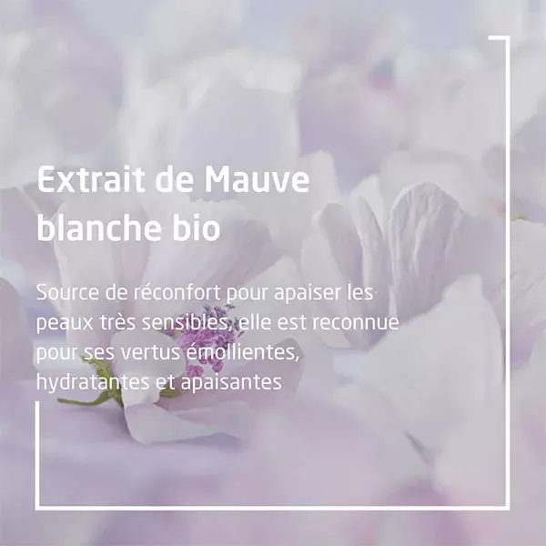 Weleda Bébé Mauve Blanche Crème Protectrice Visage Bio 50ml