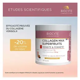 Biocyte Collagen Max Superfruits Anti-Age Collagène Acide Hyaluronique 260g